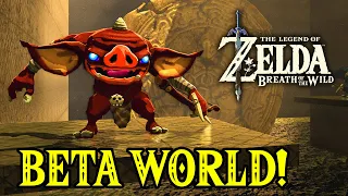 LOST BETA WORLD Found in Zelda Breath of the Wild