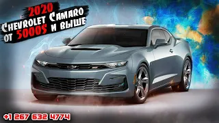 2020 Chevrolet Camaro от 5000$ и выше . Авто из США 🇺🇸 в Москву.