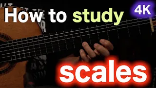 How you should study scales Modes Everyday Guitar Practice [Guitar Lesson]  [Flamenco Guitar Lesson]