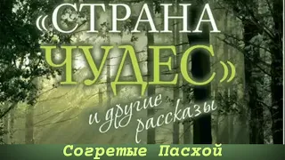 Согретые Пасхой / Протоиерей Андрей Ткачев / Рассказ из книги "Страна чудес и другие рассказы"