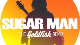 Sugar man by Rodriguez (The Goldfish remix)