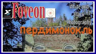 Пердимонокль с Фовеонычем 🔲 бело-чёрная  пейзажная  фотография c Foveon @foveonyc