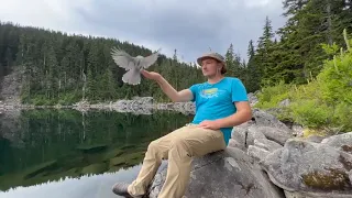 6 !!! We caught 100 salmon in 2 hours  Cast net fishing for sockeye