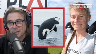 Dr Ingrid Visser talks about orcas