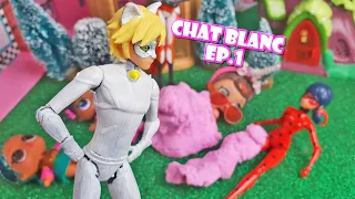 CHAT BLANC 🐱🐞 Episodio 1