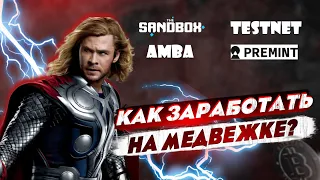 Как зароаботать криптовалюту на медвежке? Тестнеты/Амбассадорки