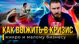 КАК ВЫЖИТЬ В КРИЗИС микро и малому БИЗНЕСУ