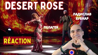 Пелагея / Ладислав Бубнар  – Desert Rose ║ Réaction Française !