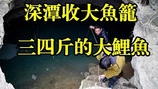 大铁笼深潭抓鱼，刚拉出水面就沸腾了，全是大货看着都过瘾【农村阿琪】