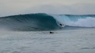 MENTAWAI SESSIONS l BANK VAULT MAY 2021