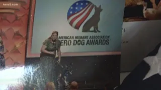 Hero dog receives full military honors after death