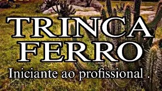 O QUE OBSERVAR ANTES DE COMPRAR UM TRINCA FERRO