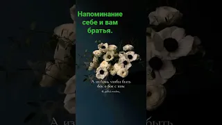 Всем Ас-салам Алейкум уа рахматулахи уа баракятуху братья и сёстры.)))