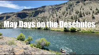 Deschutes River spring fly fishing and drift boat campout