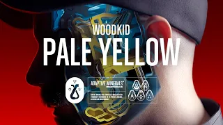 Woodkid - Pale Yellow (Lyric Video)