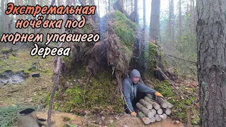 Выжить в лесу| Переночевать под корнем упавшего дерева |Bushcraft |Бушкрафт