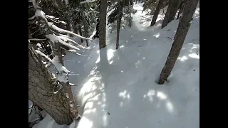 April 4 Whistler powder stash