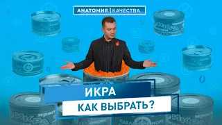 Анатомия качества | КРАСНАЯ ИКРА: как выбрать и как правильно хранить!?