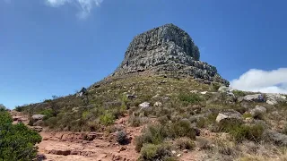 Lion's Head Summit, Hiking(4.3km - 1h13m), Table Mountain National Park, Cape Town - South Africa