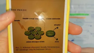 BUDOWA FOTOSYSTEMU I CHLOROFILU/barwniki asymilacyjne ,wzbudzenie- o co chodzi ??