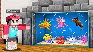 Ich BAUE ein AXOLOTL AQUARIUM in MINECRAFT! 😍