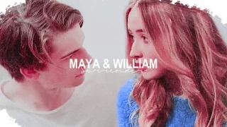 Maya & William | Surrender