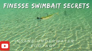 Ultimate finesse swimbaits guide: underwater bass fishing action!