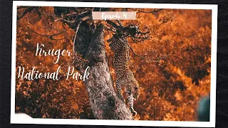 Kruger National Park Safari: Satara to Berg en Dal