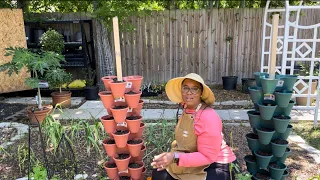 Setting up a Vertical Planter system using Dollar Tree Stackable Planters
