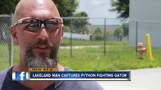 Video shows Florida man catch python as it strangles gator