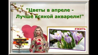 *VIP Cafe *MaSSoLiT*Цветы в апреле -Лучше всякой акварели!