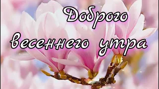 🌺Доброго весеннего утра🌺 Музыкальная открытка 💕