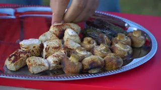 MEAT, MUSHROOMS AND VEGETABLES on COALS. What else IS NEEDED in the mountains? ENG SUB