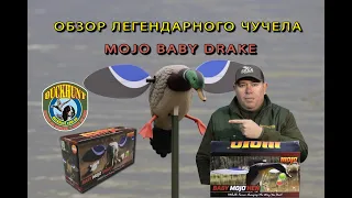 MOJO BABY обзор легендарного чучела