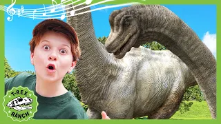 Herbie The Herbivore Song - The Plant Eating Dinosaur! T-Rex Ranch Dinosaur videos for Kids!