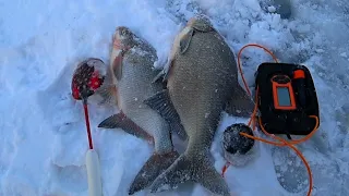 Вот это поклёвки! Ловля ЛЕЩА зимой на мормышку ! Зимняя рыбалка на леща!