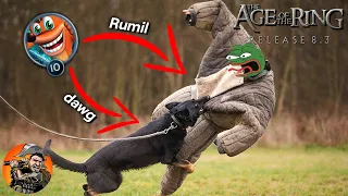 Rumil gets Mauled by a DAWG! | Age of the Ring Mod 2v2