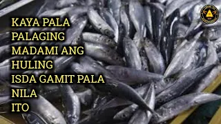 Marami ang huling isda. | lihim na karunungan