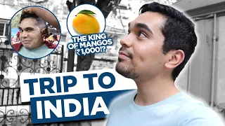 TRIP TO INDIA | HASH ALAWI