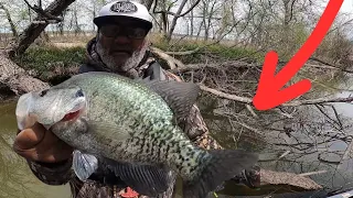 This Fallen Tree Was LOADED With Spawning Crappie (Spring 2024)