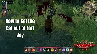 How to get the Cat out of Fort Joy - Divinity Original Sins 2