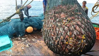 விசைபடகில் ஆறாவது நாளில் மீன்கள்  பிடிக்கும் நேரடிகாட்சி|6th Day Trawl Fishing in Kerala Boat