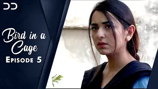 Bird in Cage | Episode 05 | English Dubbed | Pakistani Dramas | CZ1O