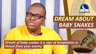 DREAM ABOUT BABY SNAKES - Biblical Meaning of Baby Snakes