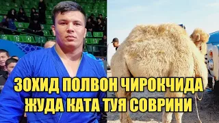 ЗОХИД ПОЛВОН ЧИРОК,ЧИДАГИ ЭНГ КАТТА СОВРИНИ.