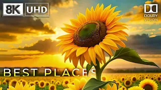 Best Places in Dolby Vision 8K HDR 60FPS | 8K HDR Dolby Vision