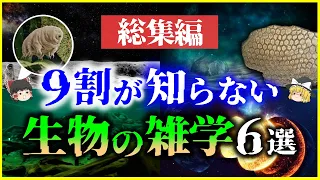 【ゆっくり解説】【総集編】未知の生物に月面の生物…⁉ガチで眠れなくなる「生物の雑学」6選を解説【作業用】【睡眠用】