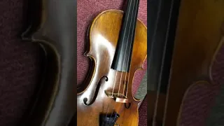 Old Stradivarius found 4/4