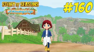 Story of Seasons: A Wonderful Life - Walkthrough #160