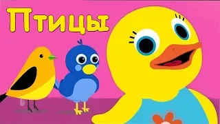 Учим Птиц. Развивающий мультфильм для детей. Повышаем словарный запас /0+